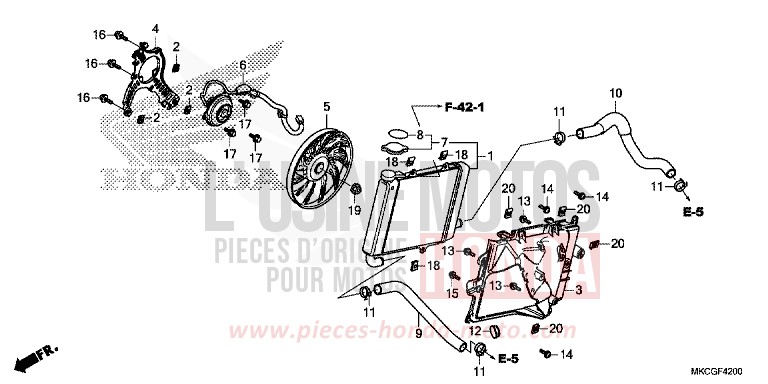 RADIATOR (R.) for Gold Wing CANDY ARDENT RED (R367B) from 2020